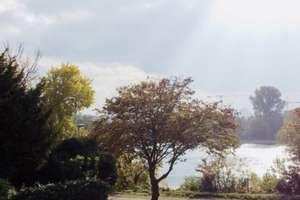 Leben in erster Reihe am Rhein - PROVISIONSFREI