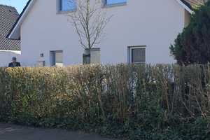 Charmantes Wohnhaus mit 2 WE inkl. Inventar – Cuxhaven (Kreis) – Vorschaubild 30