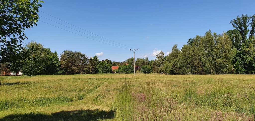 Immobilie in Dömitz - Neuwertiges EFH mit Wärmepumpe, Carport, 2 Bädern, EBK und eigenes Grünland - Bild 3