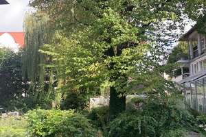 Exklusive möblierte 4- Zimmer-Wohnung mit 2 Balkonen in Nürnberg/Luitpoldhain – Die vollständige Adresse der Immobilie erhältst du vom Anbieter., 90461 Guntherstraße, Nürnberg – Vorschaubild 26