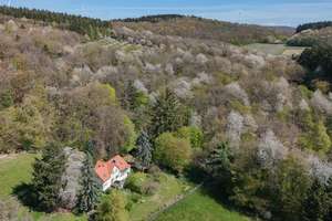 Landhaus in Alleinlage im Taunus - Idylle pur - separates Gästehaus, nur 40 Min. bis Frankfurt – Die vollständige Adresse der Immobilie erhältst du vom Anbieter., 61279 Grävenwiesbach – Vorschaubild 2