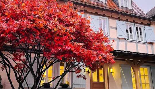 Bild von Traumhafte Hofreite in Kronberg mit viel Potential!