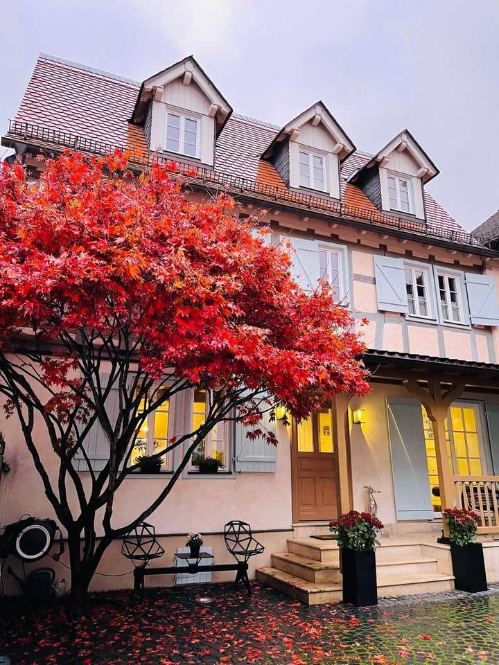 Hausansicht Fachwerkhaus