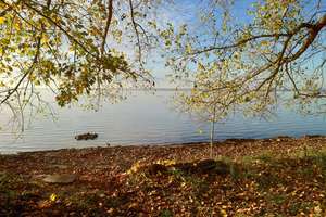 6 Zimmer im Grünen am Schweriner See – Storchenweg 6b, 19067 Dobin am See – Vorschaubild 36