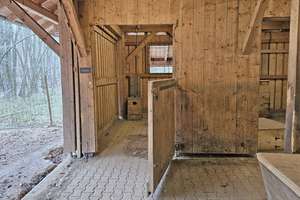 Bayern, Oberpfalz, nahe Zell - Wohnhaus mit Bach, Schwimmteich und Offenstall für Pferde – Die vollständige Adresse der Immobilie erhältst du vom Anbieter., 93199 Zell – Vorschaubild 3
