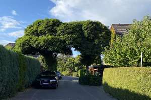 Freundliches, helles Endreihenhaus in ansprechender Lage – Die vollständige Adresse der Immobilie erhältst du vom Anbieter., 21217 Seevetal – Vorschaubild 13