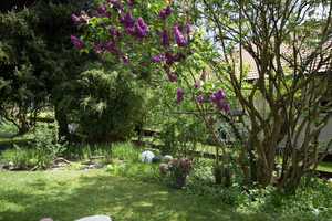 Großzügiges Wohlfühl-Haus mit wunderschönem Gartenidyll in Probstried – Oberallgäu (Kreis) – Vorschaubild 53