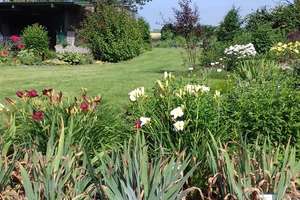 Gelegenheit für Gartenliebhaber – Die vollständige Adresse der Immobilie erhältst du vom Anbieter., 25774 Hemme – Vorschaubild 6