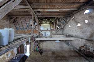 Mehrgenerationenhaus mit Ausbaupotenzial und weitläufiger Scheune – Die vollständige Adresse der Immobilie erhältst du vom Anbieter., 67377 Gommersheim – Vorschaubild 35