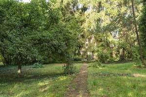 Historisches Anwesen mit Parkgarten: Repräsentatives Raumwunder in Oettingen – 86732 Oettingen in Bayern – Vorschaubild 26