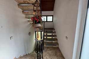 Bensheim-Zell - 1-2 Familienhaus mit Platz für Familie, Freunde und kreative Träume .... – Bergstraße (Kreis) – Vorschaubild 34