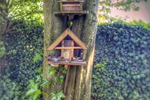 Ein Zuhause mit Zukunft – Balkon mit Blick ins Grüne & Stellplatz – Die vollständige Adresse der Immobilie erhältst du vom Anbieter., 41236 Heyden, Mönchengladbach – Vorschaubild 14