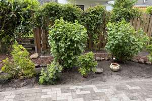 Wohnen mit Charakter: 3-Zimmer-Erdgeschosswohnung mit kleinem Garten in Oldenburg  – Sandweg 203b, 26135 Drielaker Moor, Oldenburg (Oldenburg) – Vorschaubild 10