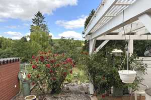 Stille Idylle am Ammelbach: Kleines EFH mit dennoch viel Platz und beschaulichem Garten - Bubenheim! – Donnersbergkreis – Vorschaubild 39