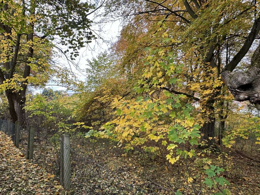 Immobilie in Markneukirchen - Gemeinsam BAUEN - Kosten SPAREN!!! - Bild 3