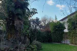 Zuhause ist dort, wo Ihr Herz auch dafür schlägt... Schauen Sie hier mal rein!  – Rhein-Neckar-Kreis – Vorschaubild 15