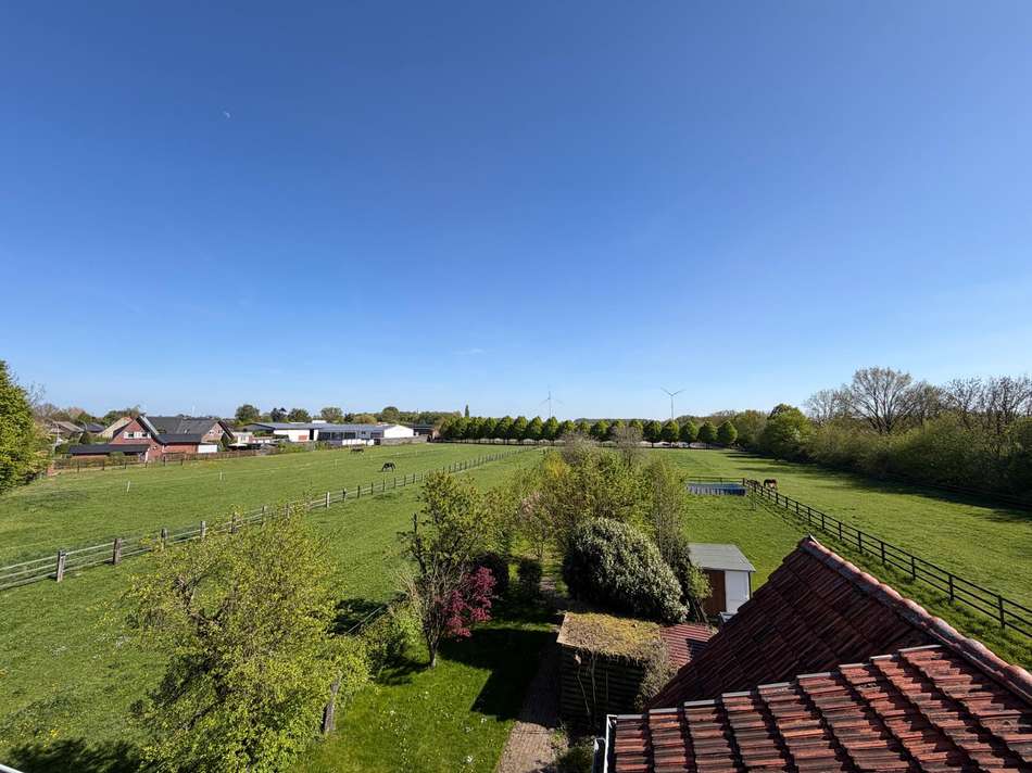 Blick ins Grüne