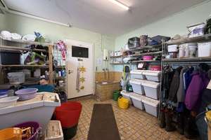 ***Mehrfamilienhaus & Exklusiver Pferdehof mit Reitanlage auf ca 21.000 m² Grundstück*** – Die vollständige Adresse der Immobilie erhältst du vom Anbieter., 37574 Einbeck – Vorschaubild 30