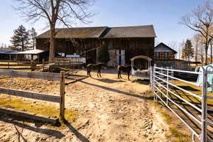 4-Seiten-Pferdehof | 3 Wohneinheiten | Reithalle | 11,48 ha | Alleinlage