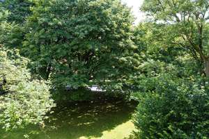 Property thumbnail 13