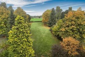 Raum für Visionen! Wohn-und Geschäftshaus mit großem Gartengrundstück – Die vollständige Adresse der Immobilie erhältst du vom Anbieter., 95158 Kirchenlamitz – Vorschaubild 5