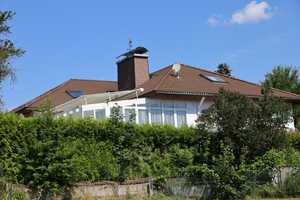 Suchen Sie ein großes Zuhause, zum Wohnen und Arbeiten  mit Wintergarten und Südterrasse? – Hof (Kreis) – Vorschaubild 1