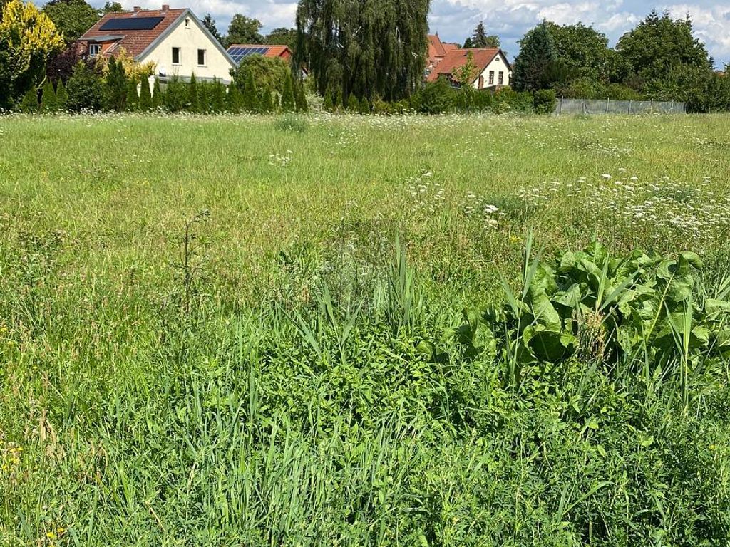 ZWISCHEN NATUR UND STADT – IHR NEUER LEBENSRAUM