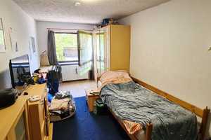 Ihr neues Zuhause in Kinderbeuern ... Heizung modernisiert, Pelletofen und mehr.... – Bernkastel-Wittlich (Kreis) – Vorschaubild 13