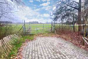 Charmanter Resthof in fast Alleinlage – Wohnen, Leben, Arbeiten im Einklang mit der Natur – Emsland (Kreis) – Vorschaubild 16
