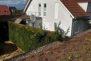 Haus mit Caprio-Dach
