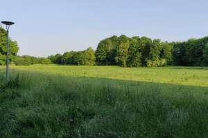Am Park gelegene, moderne, ruhige 2 Zi-Whg mit Südbalkon in Obermenzing, EBK , Aufzug  – Die vollständige Adresse der Immobilie erhältst du vom Anbieter., 81247 Obermenzing, München – Vorschaubild 7