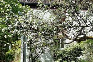Doppelhaushälfte Vaterstetten mit großem Garten – Anton-Bruckner-Str. 44, 85591 Vaterstetten – Vorschaubild 4