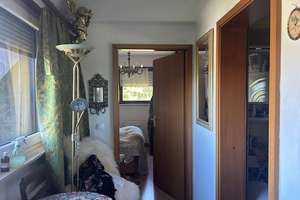 Whg. / Ferien-Whg. _ im Schwarzwald – Die vollständige Adresse der Immobilie erhältst du vom Anbieter., 78089 Wallstadt, Mannheim – Vorschaubild 19