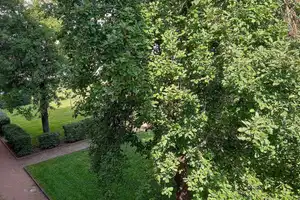 Property thumbnail 9