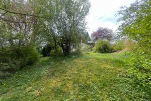 PARKGRUNDSTÜCK mit alter Villa in unwiderstehlicher, unverbaubarer Südlage – Ostallgäu (Kreis) – Vorschaubild 19