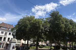 *NEU* MITTEN IN MAINZ WOHNEN SIE HIER ZENTRAL ABER DENNOCH RUHIG IN EINER GRÜNEN LAGE! – Die vollständige Adresse der Immobilie erhältst du vom Anbieter., 55116 Altstadt, Mainz – Vorschaubild 9