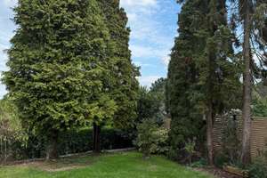 Top ausgestattetes Einfamilienhaus mit Garten in absolut ruhiger & bevorzugter Wohnlage – 45279 Horst, Essen – Vorschaubild 6