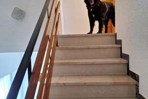Haus mit Lagerhallen Provisionsfrei – Schwaigener Str. 28, 94437 Mamming – Vorschaubild 28