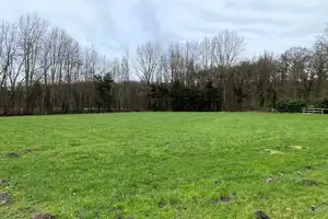 Wohnhaus mit Wirtschaftsgebäuden in Alleinlage von Velen – Borken (Kreis) – Vorschaubild 16
