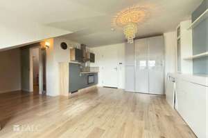 ***Mehrfamilienhaus & Exklusiver Pferdehof mit Reitanlage auf ca 21.000 m² Grundstück*** – Die vollständige Adresse der Immobilie erhältst du vom Anbieter., 37574 Einbeck – Vorschaubild 55