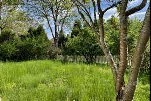 *** GEPFLEGTE DHH mit GARTEN - in einer ruhiger Sackgasse gelegen*** – Freyung-Grafenau (Kreis) – Vorschaubild 6
