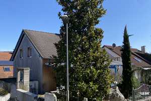 Sommer, Sonne, Pool - Freistehendes EFH mit Urlaubsfeeling im eigenen Garten – Am Kirchberg 5, 79588 Lörrach (Kreis) – Vorschaubild 5