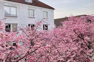 Wunderschöne und gemütliche Wohnung im Kaiserviertel