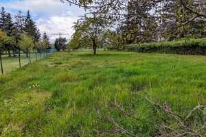 NEUER PREIS - 4 Seiten Hof in Neu-Seeland am Sedlitzer See – Oberspreewald-Lausitz (Kreis) – Vorschaubild 7