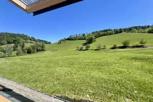 Renoviertes Bruchsteinhaus im UNESCO Biosphärengebiet Schwarzwald – Die vollständige Adresse der Immobilie erhältst du vom Anbieter., 79117 Kappel, Freiburg im Breisgau – Vorschaubild 20