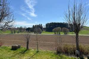 Zwei Zuhause unter einem Dach – Familienidyll mit Wintergarten, Balkon & großem Gartenanteil – Pfaffenhofen an der Ilm (Kreis) – Vorschaubild 24