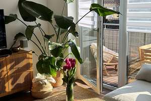 Helle & Stilvolle 2-Zimmer Wohnung mit Balkon - Einzelperson mit Hund bevorzugt. – Hatzfelder Weg 16d, 81476 Forstenried, München – Vorschaubild 4