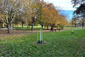 Property thumbnail 8