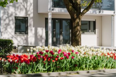 Neubau! Attraktive 4-Zimmerwohnung mit schönem Balkon