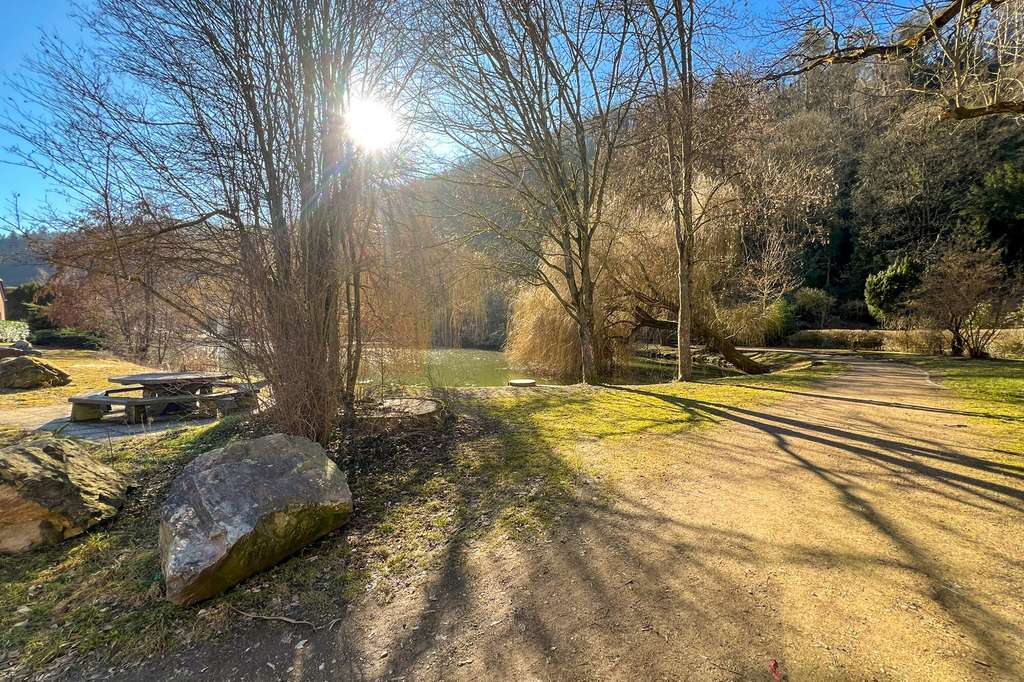 Immobilie in Tharandt - Mehrfamilienhaus am Tharandter Schlossteich! - Bild 3